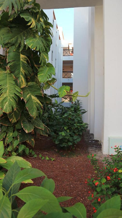 Apartamento En Tenerife Sur, Parque Santiago 2 Arona  Kültér fotó