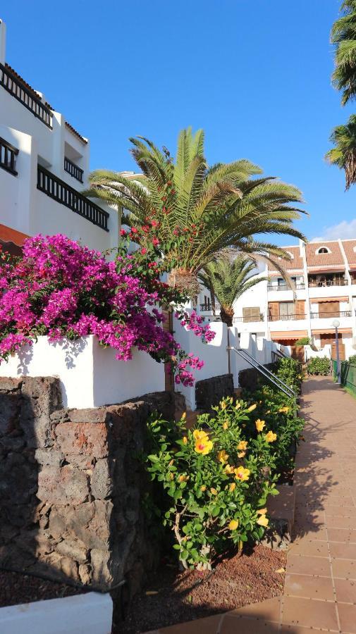 Apartamento En Tenerife Sur, Parque Santiago 2 Arona  Kültér fotó